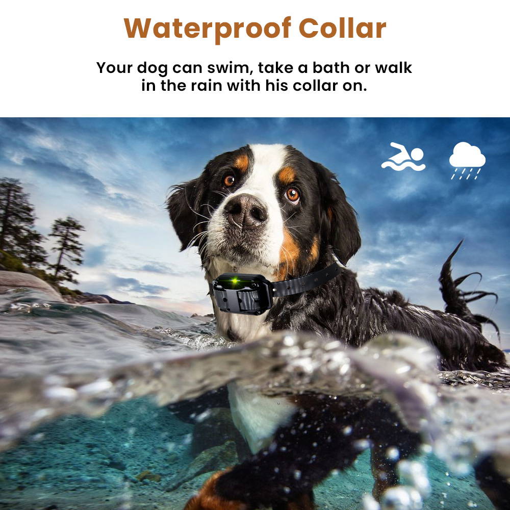 Vibrating collar for small dogs 2025